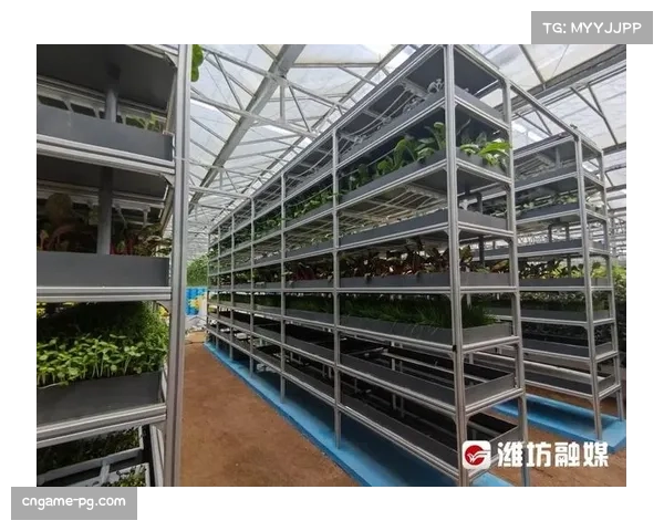 棒球场屋顶垂直农业创新模式 实现蔬菜种植与球队餐厅循环利用系统